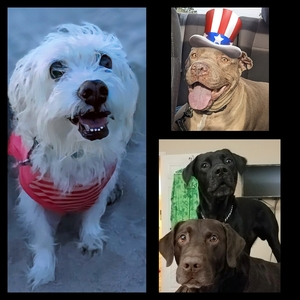 Fundraising Page: Cynthia Pellecer